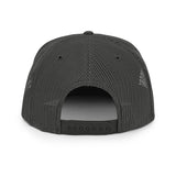 Joezen the Animated Series logo Mesh Back Snapback